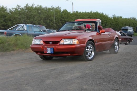 2010_b_ladagar_371__large_