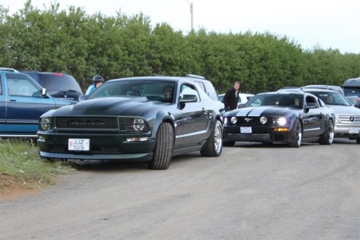 2010_b_ladagar_381__large_