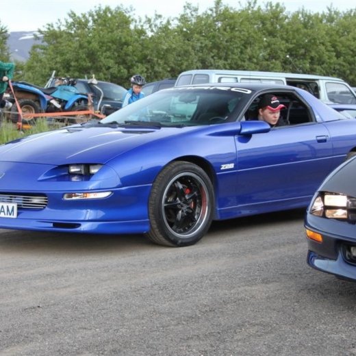 crop-2010_b_ladagar_309__large_