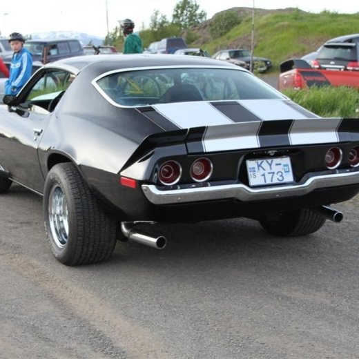 crop-2010_b_ladagar_316__large_