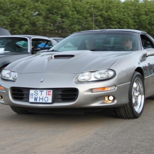 crop-2010_b_ladagar_318__large_