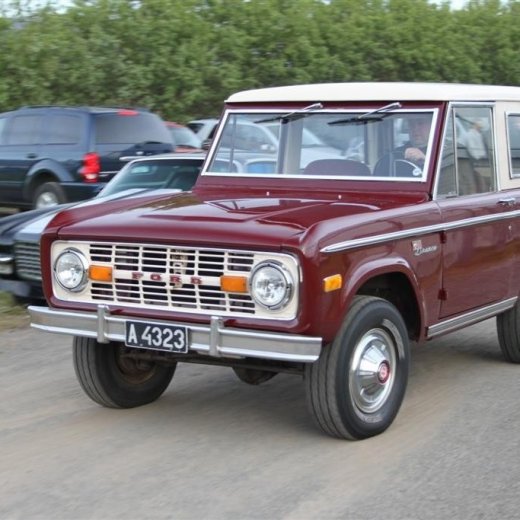 crop-2010_b_ladagar_319__large_