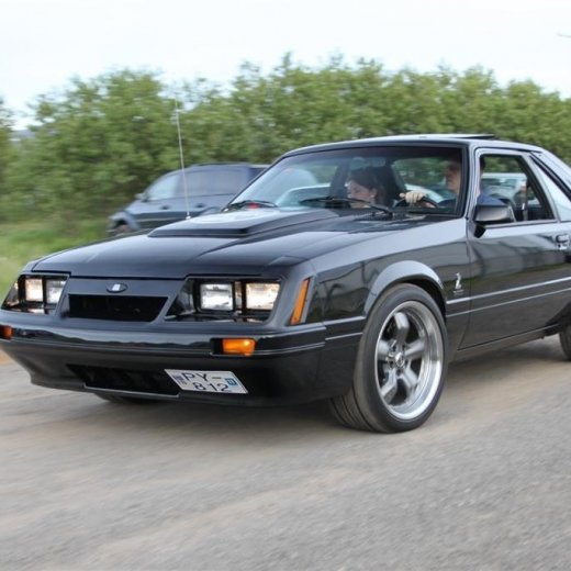 crop-2010_b_ladagar_321__large_