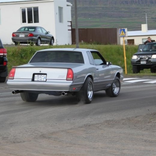 crop-2010_b_ladagar_322__large_