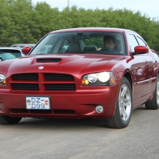 crop-2010_b_ladagar_323__large_