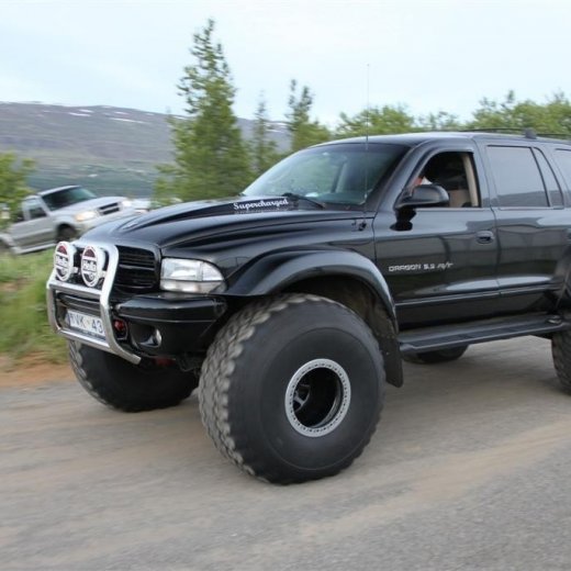 crop-2010_b_ladagar_325__large_