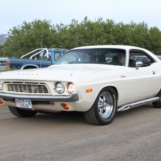 crop-2010_b_ladagar_333__large_