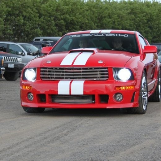 crop-2010_b_ladagar_338__large_