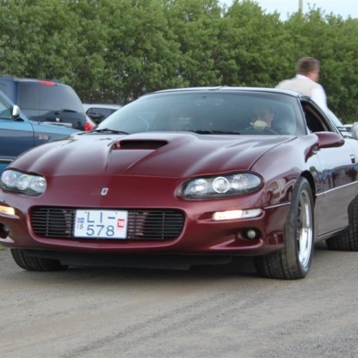 crop-2010_b_ladagar_339__large_