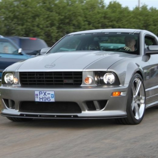 crop-2010_b_ladagar_341__large_