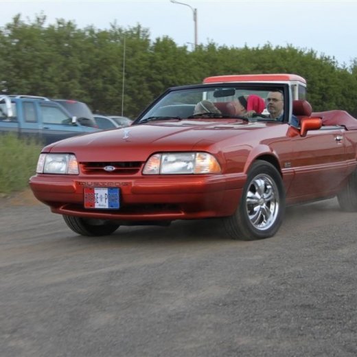 crop-2010_b_ladagar_371__large_