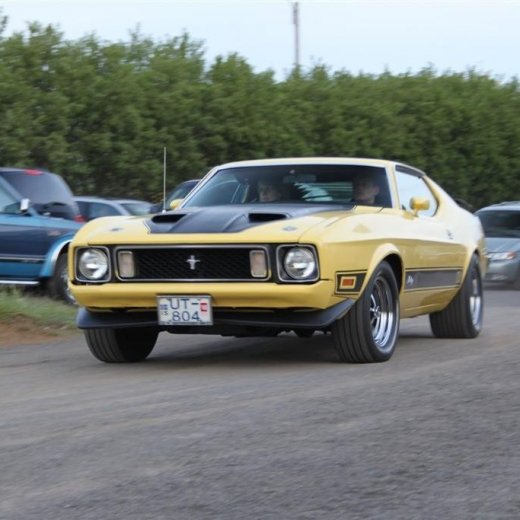 crop-2010_b_ladagar_377__large_