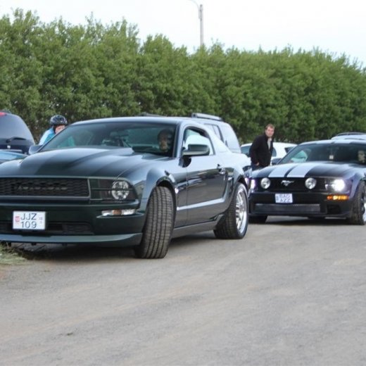 crop-2010_b_ladagar_381__large_