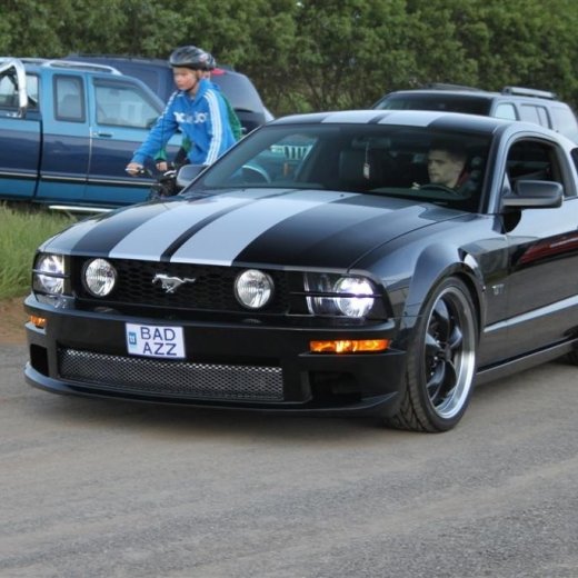 crop-2010_b_ladagar_383__large_