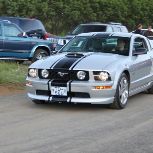 crop-2010_b_ladagar_384__large_