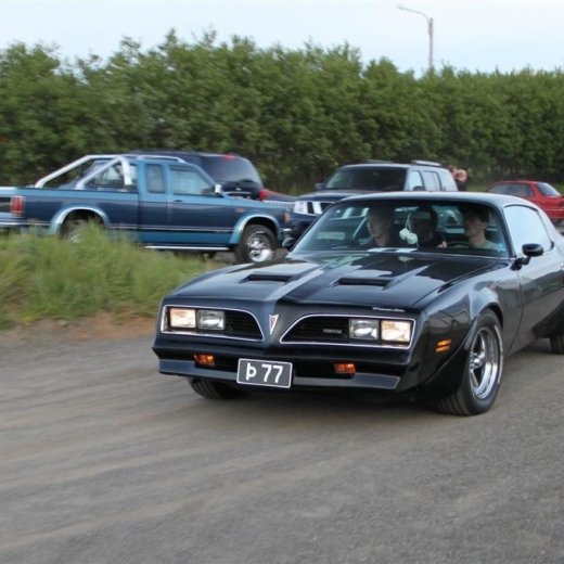 crop-2010_b_ladagar_393__large_