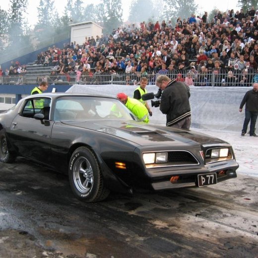 crop-18.6.10_065__large_