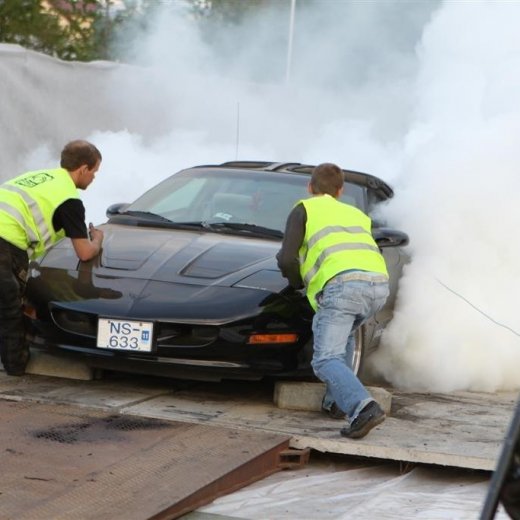 crop-2010_b_ladagar_718__large_