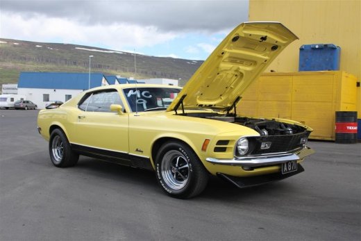 2010_b_ladagar_1303__large_