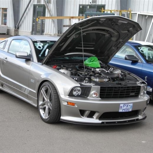 crop-2010_b_ladagar_1286__large_