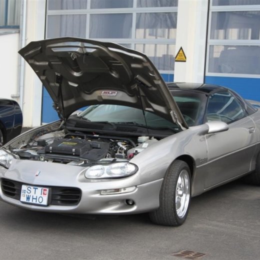 crop-2010_b_ladagar_1290__large_