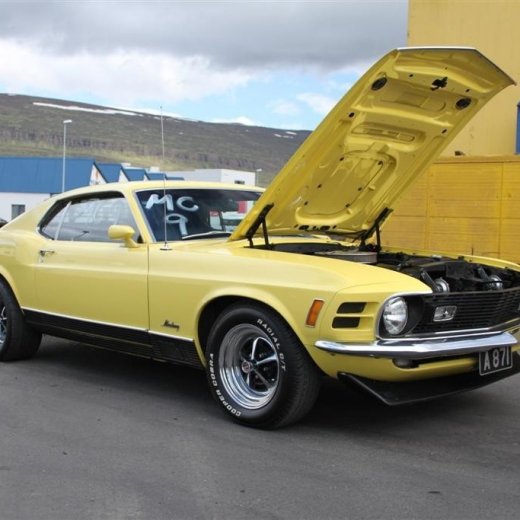 crop-2010_b_ladagar_1303__large_