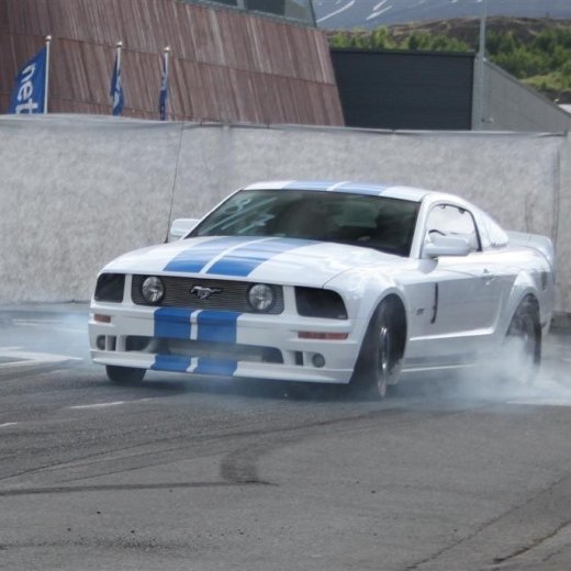 crop-2010_b_ladagar_1385__large_