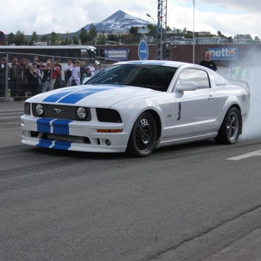 crop-2010_b_ladagar_1388__large_