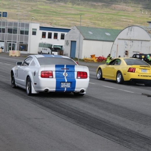 crop-2010_b_ladagar_1394__large_