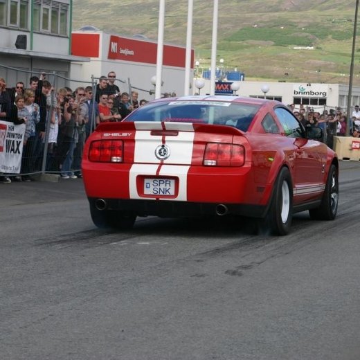 crop-img_5362__large_