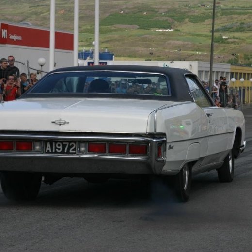 crop-img_5366__large_