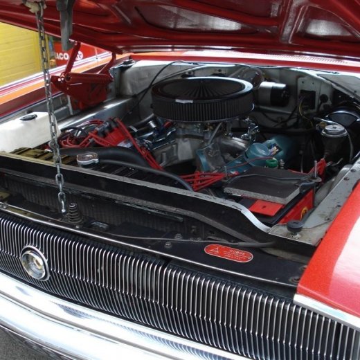 crop-j_n_.2010_036__large_