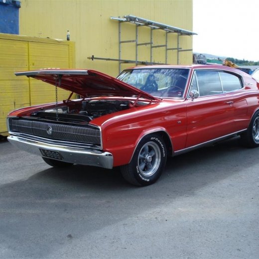 crop-j_n_.2010_037__large_