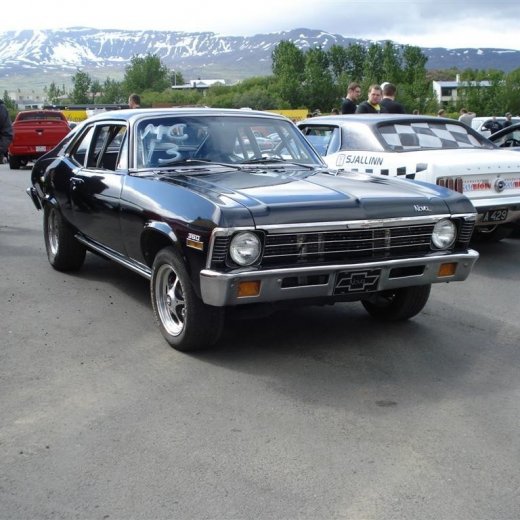 crop-j_n_.2010_038__large_