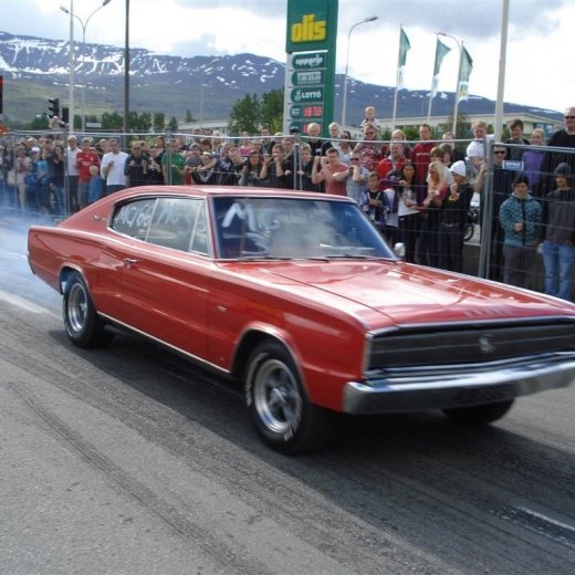 crop-j_n_.2010_047__large_