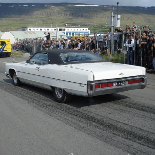 crop-j_n_.2010_049__large_