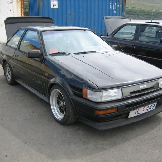 crop-20.06.2010_003__large_