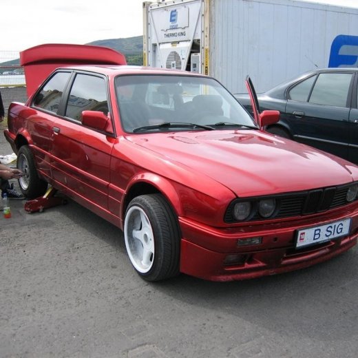 crop-20.06.2010_006__large_