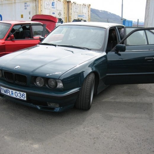 crop-20.06.2010_008__large_