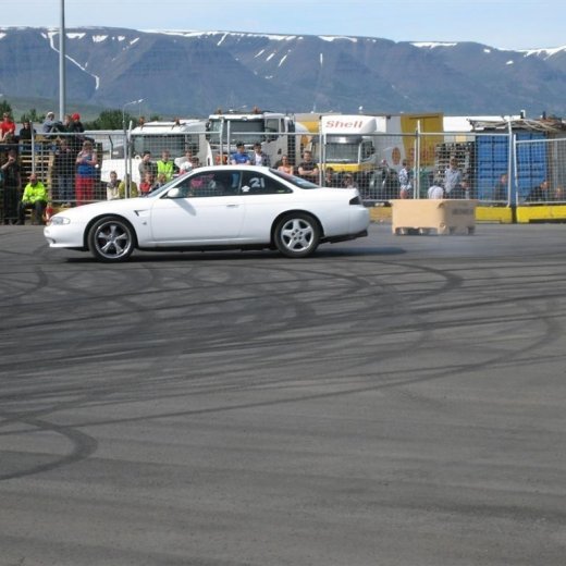 crop-20.06.2010_010__large_