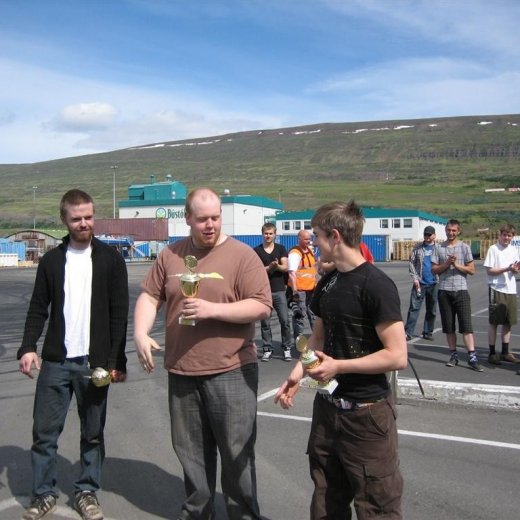 crop-20.06.2010_017__large_