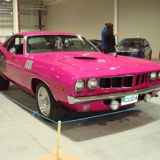 crop-dsc05218__large_