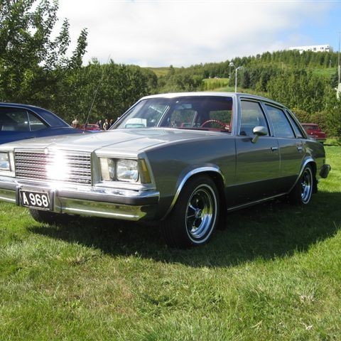 crop-myndir_2010_357