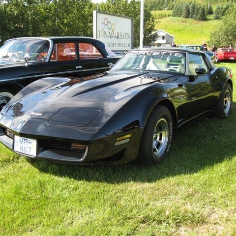 crop-myndir_2010_368