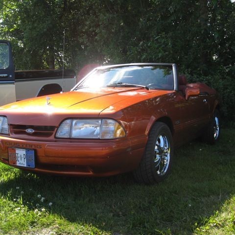 crop-myndir_2010_376