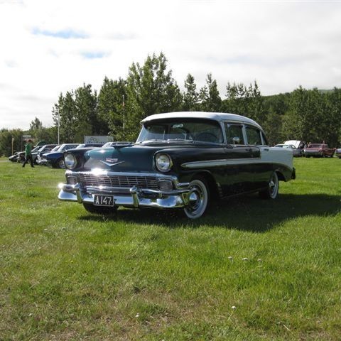 crop-myndir_2010_356