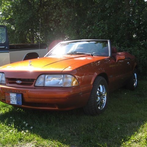 crop-myndir_2010_376