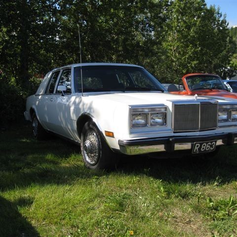 crop-myndir_2010_377