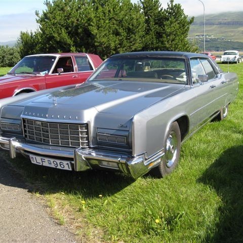 crop-myndir_2010_385