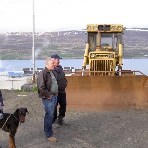 crop-02-06-10_arnarfell_001